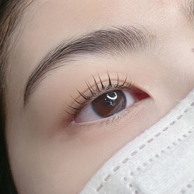 Kiểu mi nối Classic nhẹ nhàng
