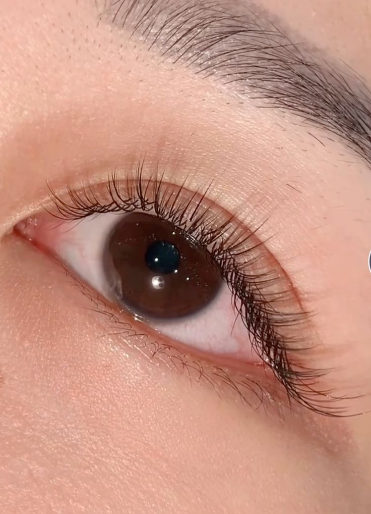 nối mi tự nhiên ngày càng được phái đẹp tại Bình Tân