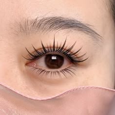 Mi nối cong tạo độ mở cho mắt